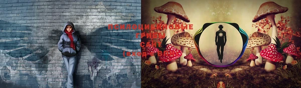 mdma Протвино