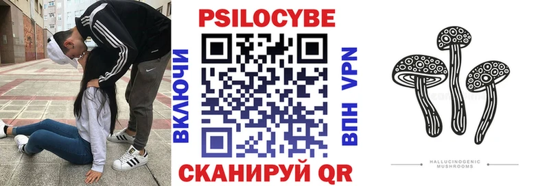 Купить  Ачинск  Псилоцибиновые грибы мицелий