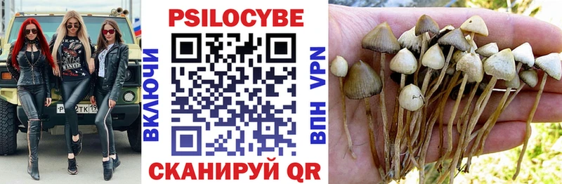 Галлюциногенные грибы мухоморы Ачинск